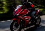 Image-Gallery12